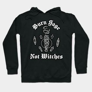 Burn Sage Not Witches Hoodie